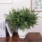 Real Touch Norfolk Pine Stems Christmas (Green) 16.9"D x 3.9"W x 4.7"H
